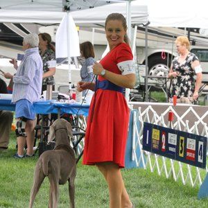 Meet your Posher, Amy